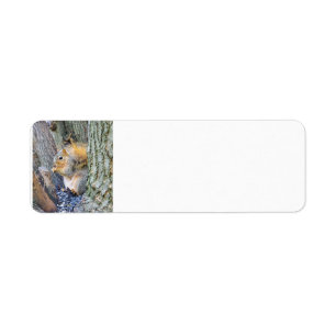 Squirrel Label