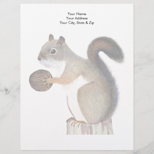 Squirrel Letterhead