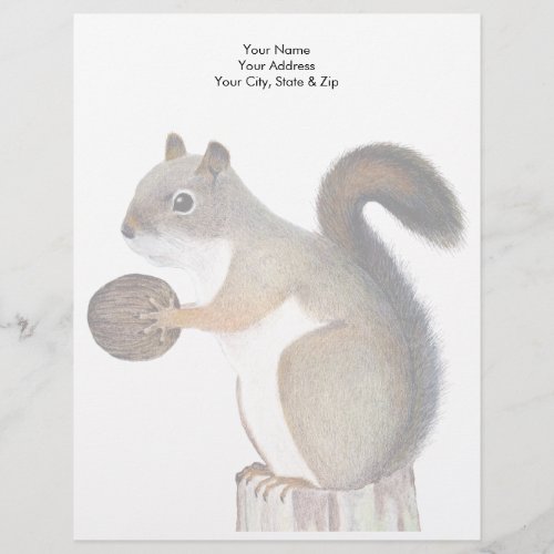 Squirrel Letterhead