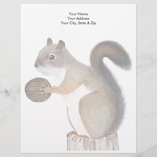Squirrel Letterhead (Front)