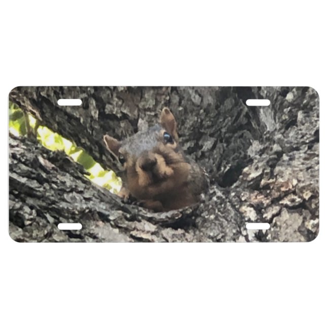 Squirrel License Plate (Front)