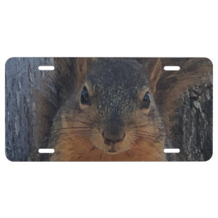 Squirrel License Plate