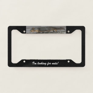 Squirrel License Plate Frame