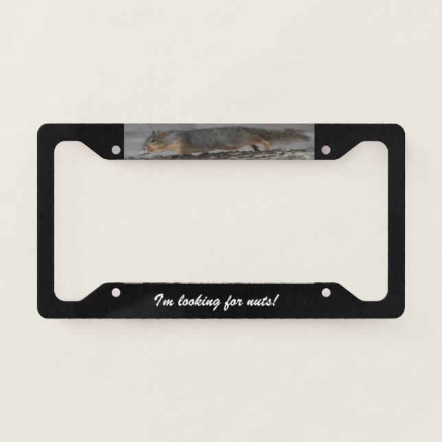 Squirrel License Plate Frame (Front)