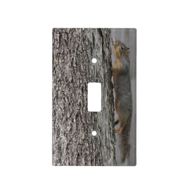 Squirrel Light Switch Cover (Front)