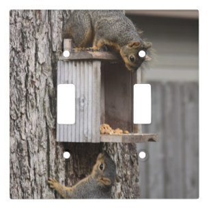 Squirrel Light Switch Cover