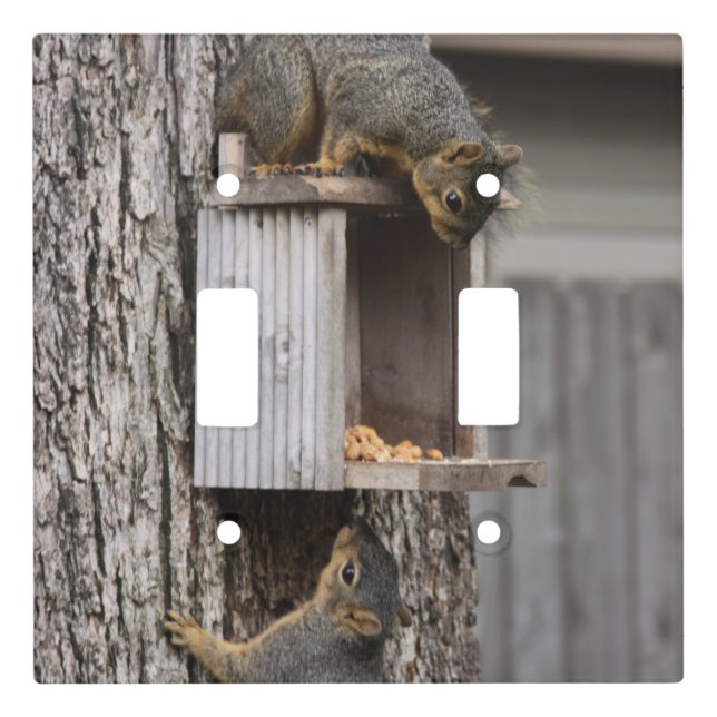 Squirrel Light Switch Cover (Front)