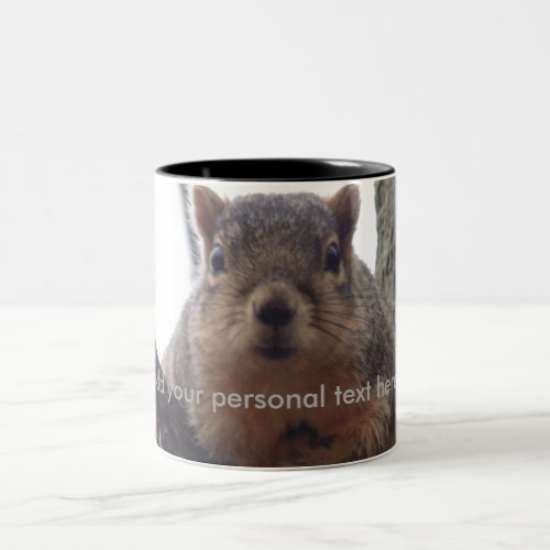 Squirrel looking at your coffee cup