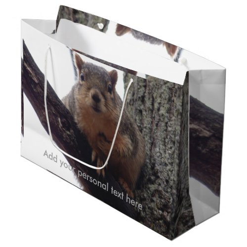 Squirrel looking at your gift bag