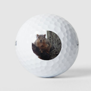 Squirrel looking at your golf ball