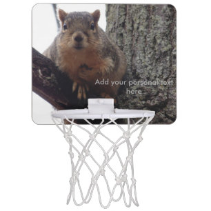 Squirrel looking at your mini basketball game hoop