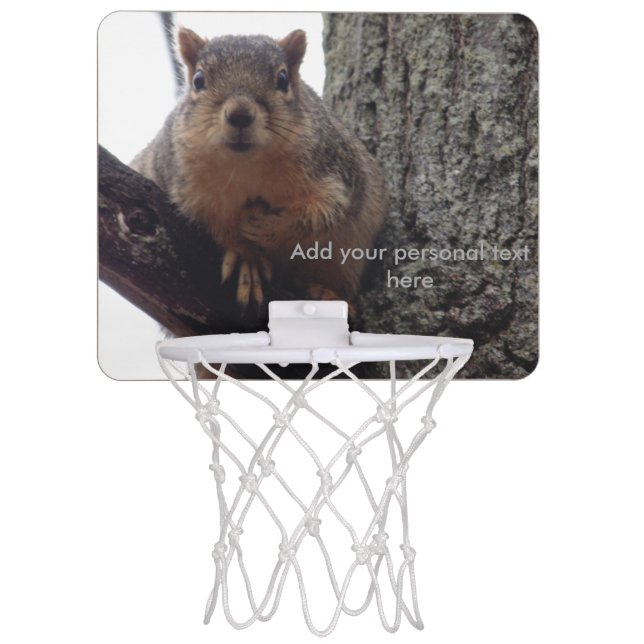 Squirrel looking at your mini basketball game mini basketball hoop (Front)
