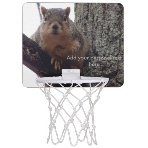 Squirrel looking at your mini basketball game mini basketball hoop