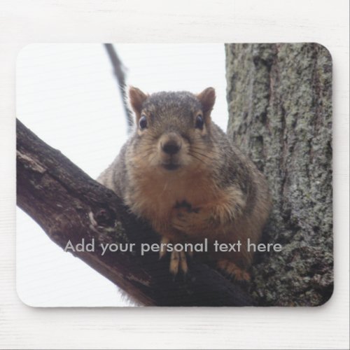 Squirrel looking at your mouse pad