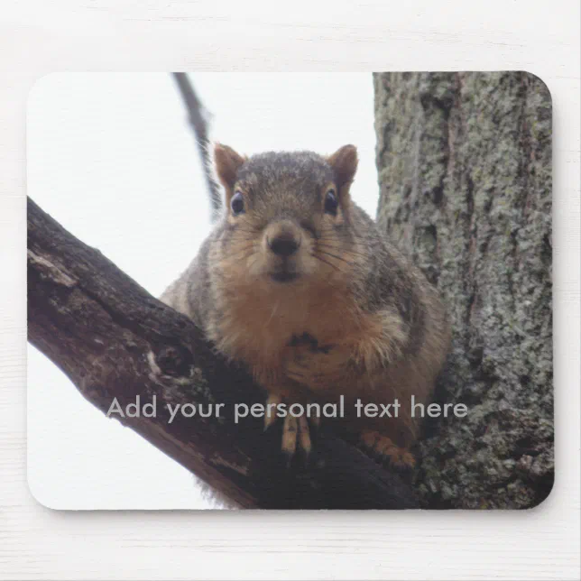 Squirrel looking at your mouse pad | Zazzle