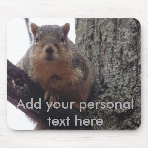 Squirrel looking at your mouse pad