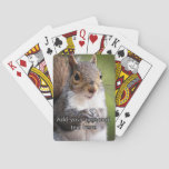 Squirrel looking at your playing cards