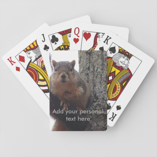 Squirrel looking at your playing cards