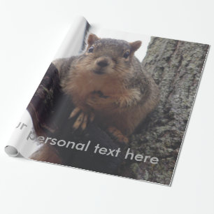 Squirrel looking at your wrapping paper