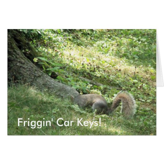 Squirrel looking for car keys cards (Front Horizontal)