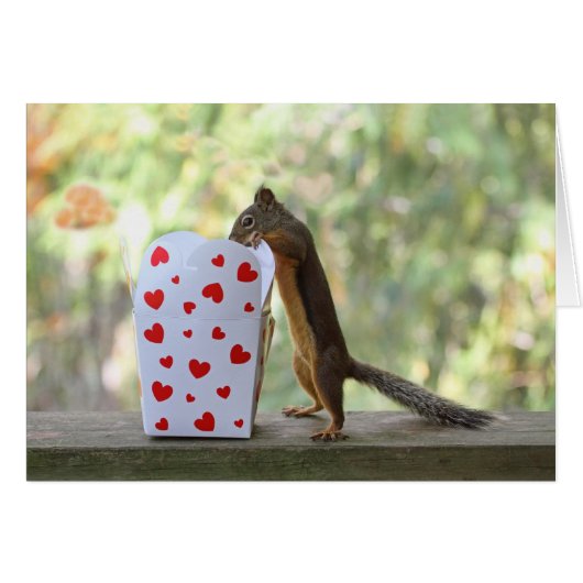 Squirrel Looking Inside Heart Box Cards (Front Horizontal)