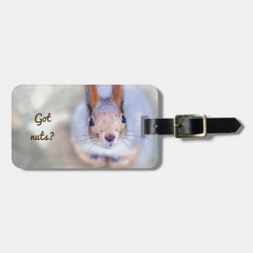 Squirrel looks at you from the bottom up luggage tag