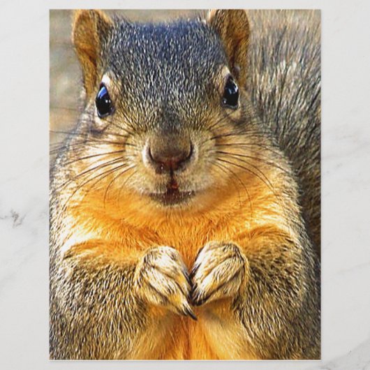 Squirrel Love_ (Front)