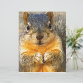 Squirrel Love_ (Standing Front)