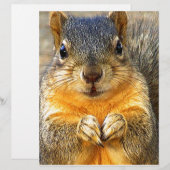Squirrel Love_ (Front/Back)