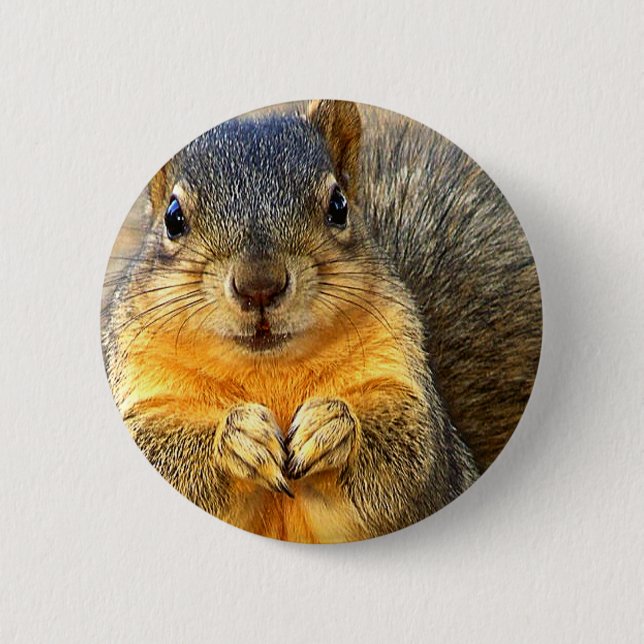 Squirrel Love_ Button (Front)