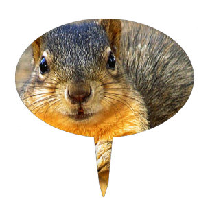 Squirrel Love_ Cake Topper
