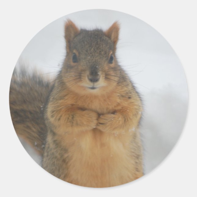 Squirrel Love Classic Round Sticker (Front)