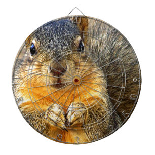 Squirrel Love_ Dartboard