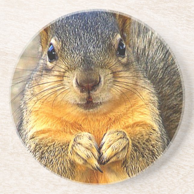 Squirrel Love_ Drink Coaster (Front)