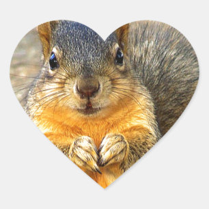 Squirrel Love_ Heart Sticker