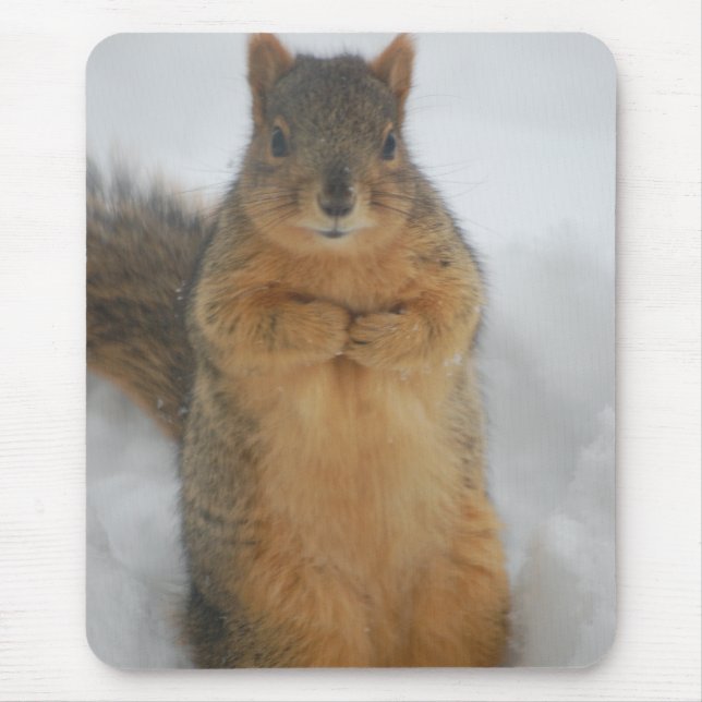 Squirrel Love Mouse Pad (Front)