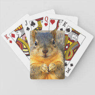 Squirrel Love_ Playing Cards