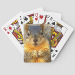 Squirrel Love_ Poker Cards