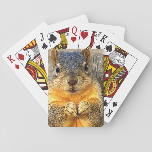 Squirrel Love_ Poker Cards