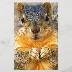 Squirrel Love_ Stationery