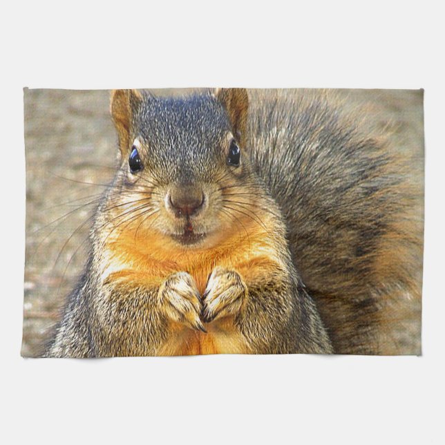 Squirrel Love_ Towel (Horizontal)