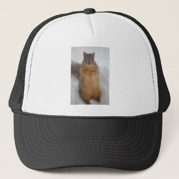 Squirrel Love Trucker Hat by Incatneato at Zazzle