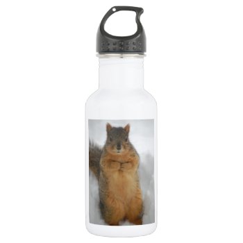 Squirrel Love Water Bottle by Incatneato at Zazzle