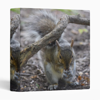 Squirrel Lover 3 Ring Binder