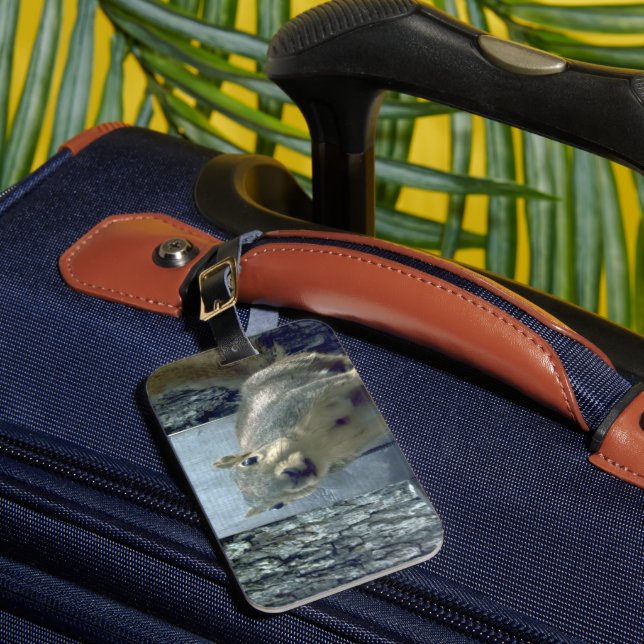 Squirrel  luggage tag (Front Insitu 1)