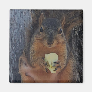 Squirrel  magnet