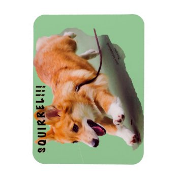 Squirrel!!! Magnet by woodlandesigns at Zazzle
