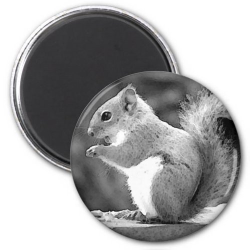 Squirrel Magnet