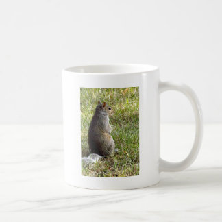 Squirrel Meditations Coffee Mug