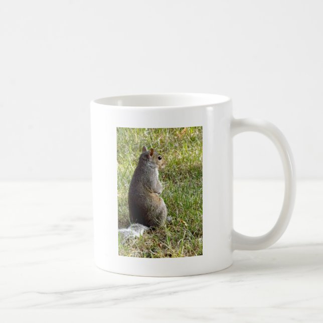Squirrel Meditations Coffee Mug (Right)